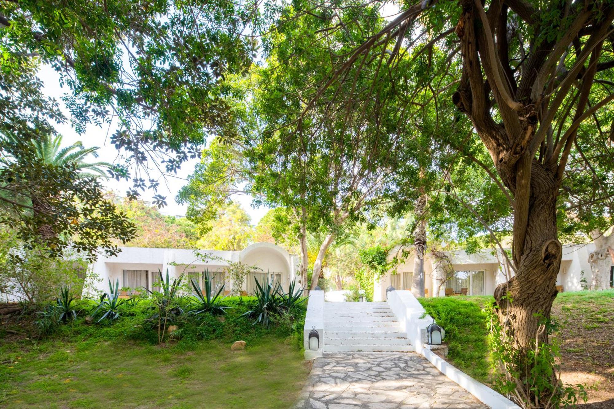 Standard Bungalow