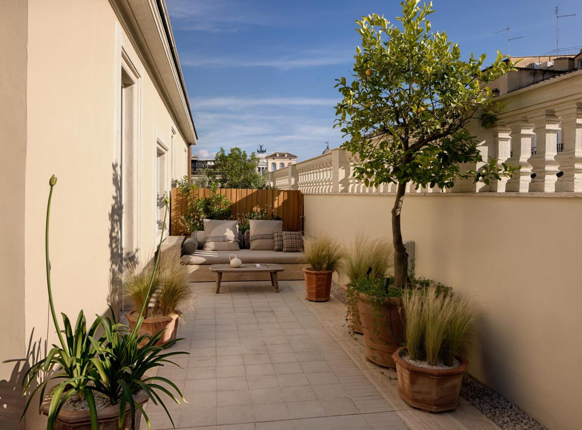 Terrace Junior Suite