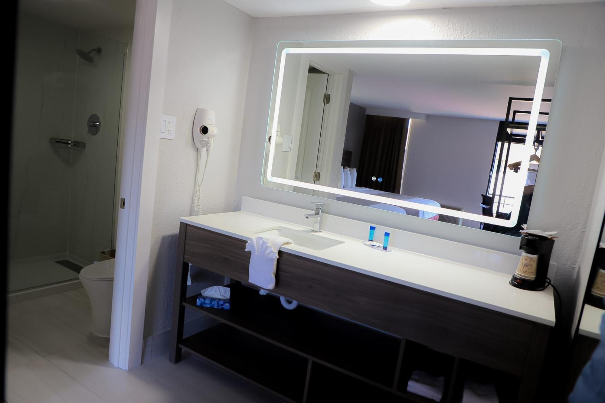 Deluxe Double Room Shower