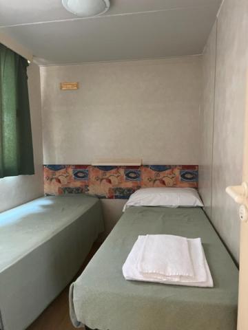 Mobile Home