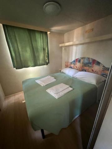 Mobile Home