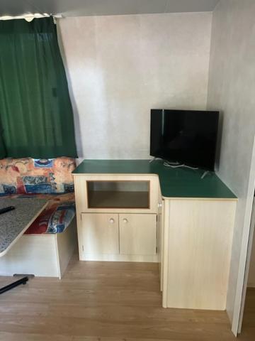 Mobile Home