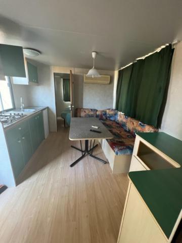 Mobile Home