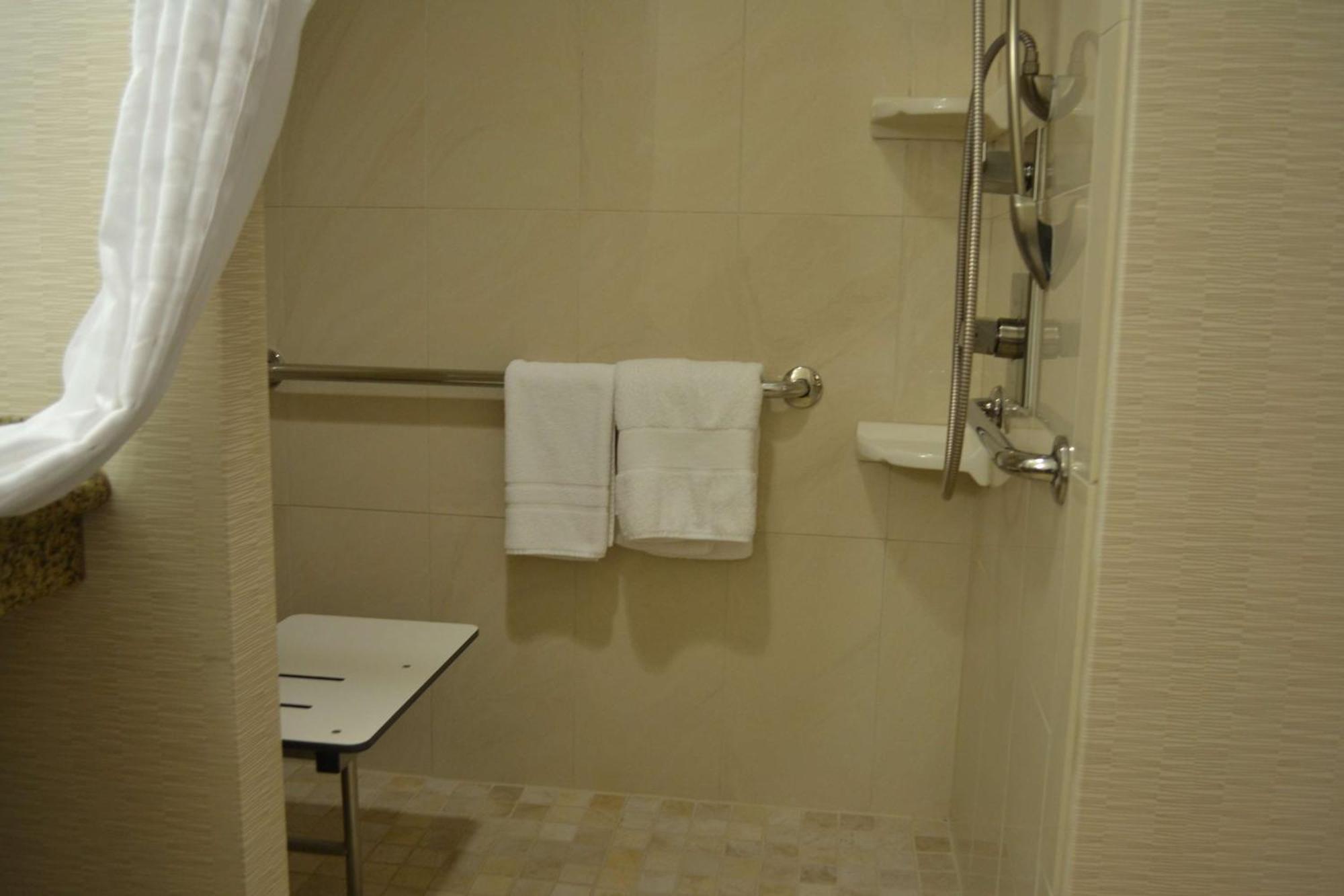One-Bedroom King Suite Roll Shower Mobility Access or Non-Smoking