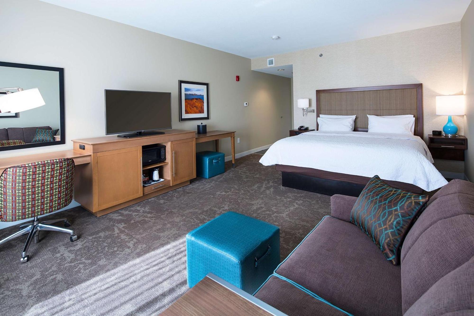 King Room Sofa Bed Hearing Accessible or Non-Smoking