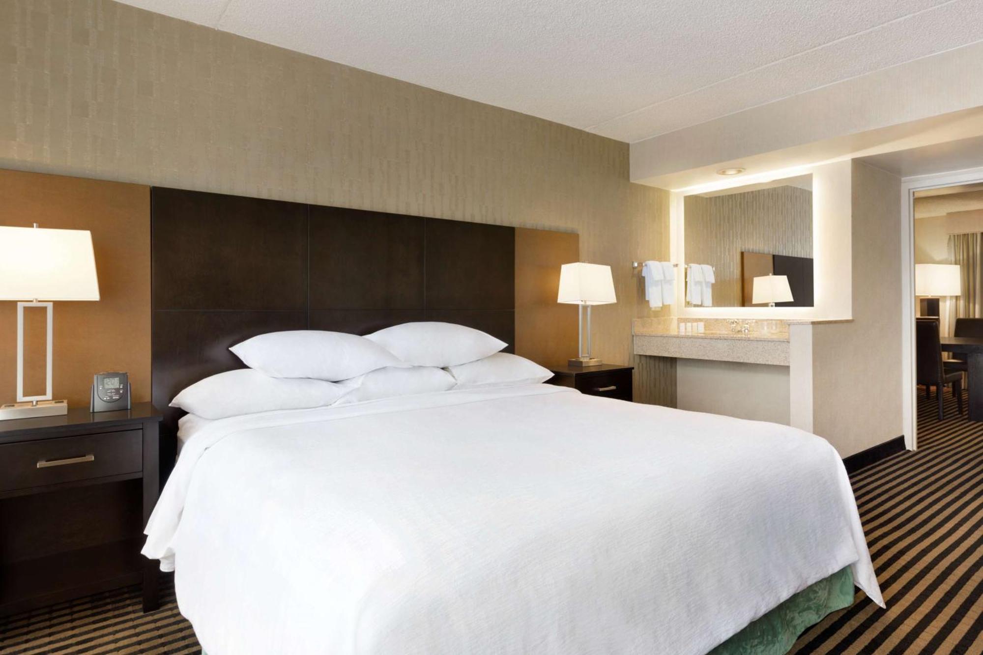 One-Bedroom King Suite Non-Smoking