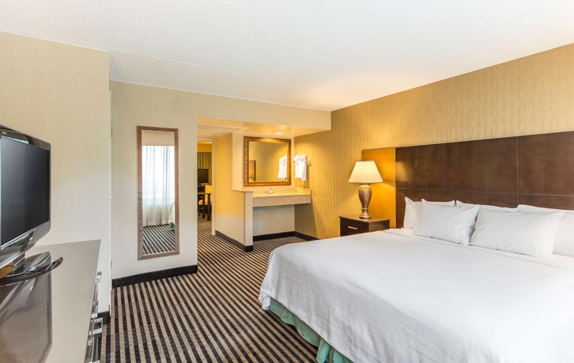 One-Bedroom King Suite Non-Smoking