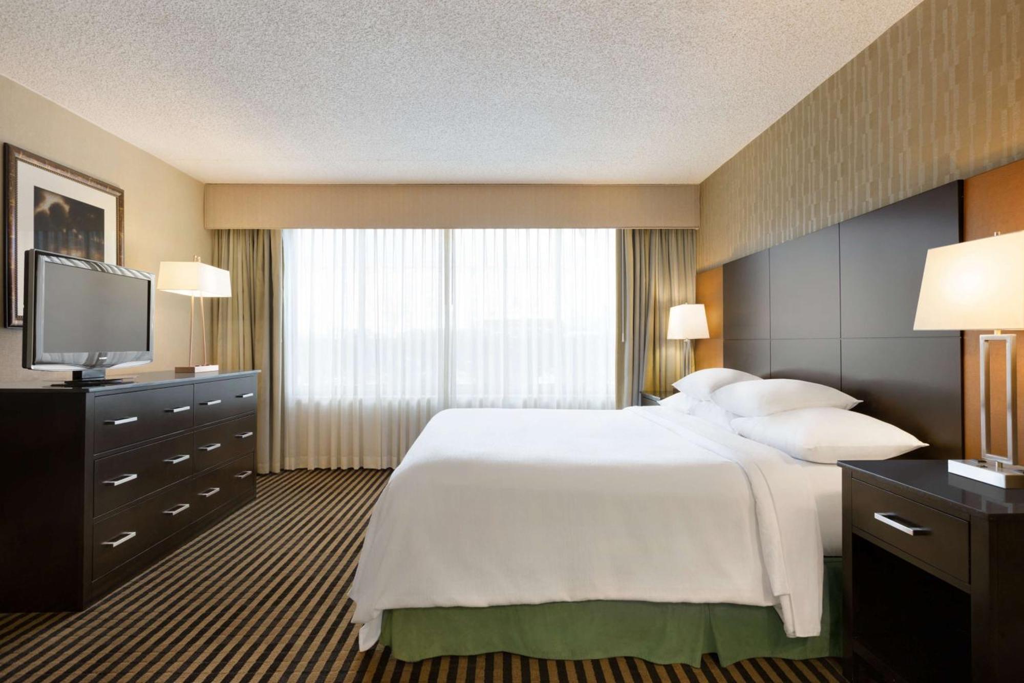 One-Bedroom King Suite Non-Smoking