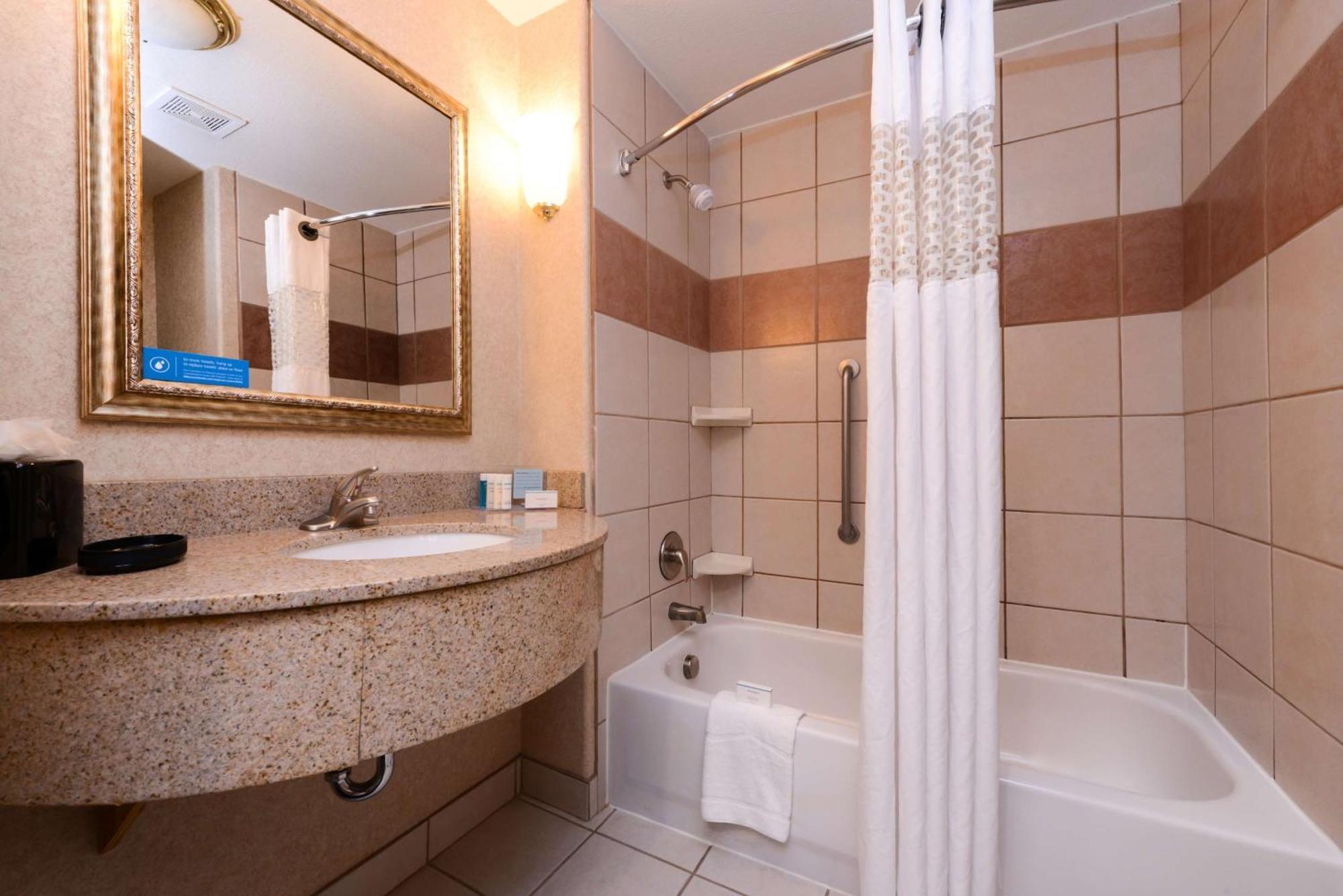King Studio Suite Mobility Access or Non-Smoking