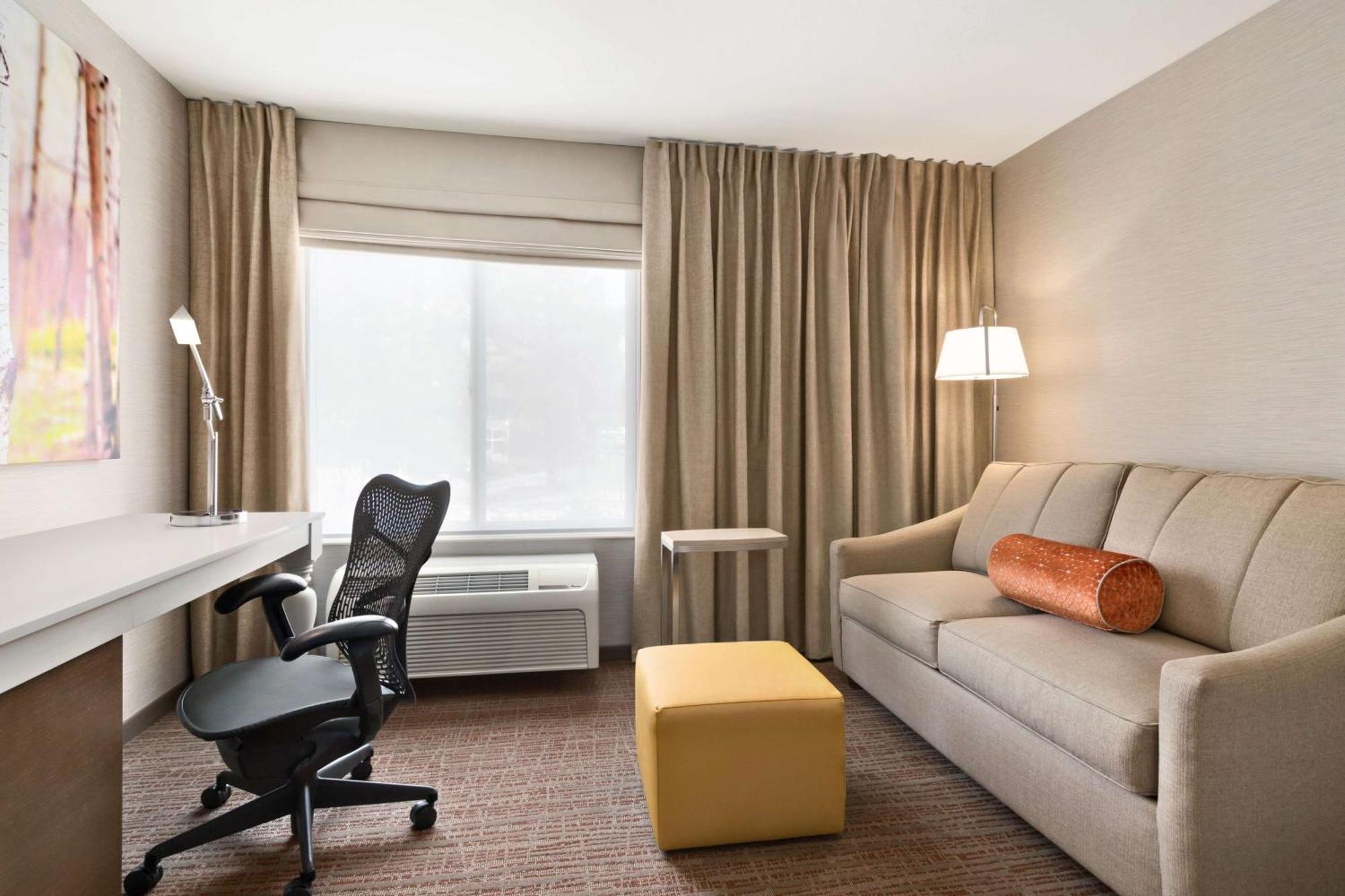 King Room Sofa Bed