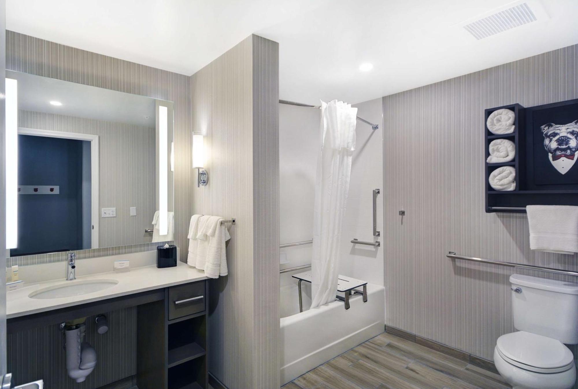 King Suite Mobility Accessible or Non-Smoking