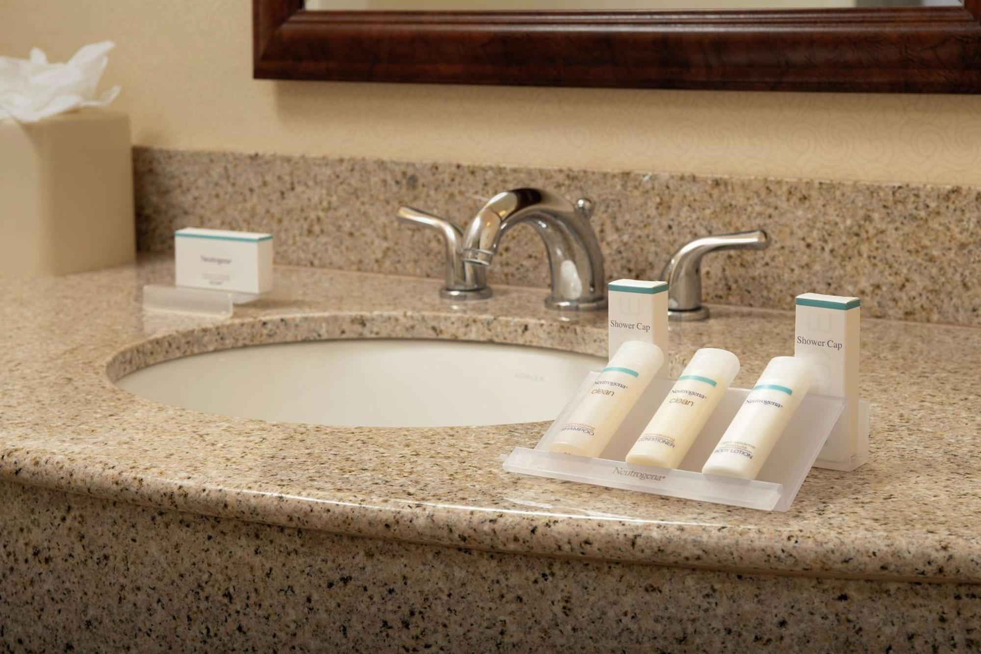 Junior King Suite with Roll-In Shower - Mobility Access