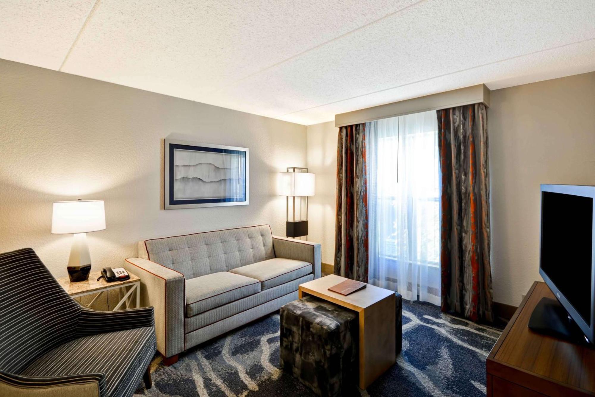 One-Bedroom King Suite - Non-Smoking