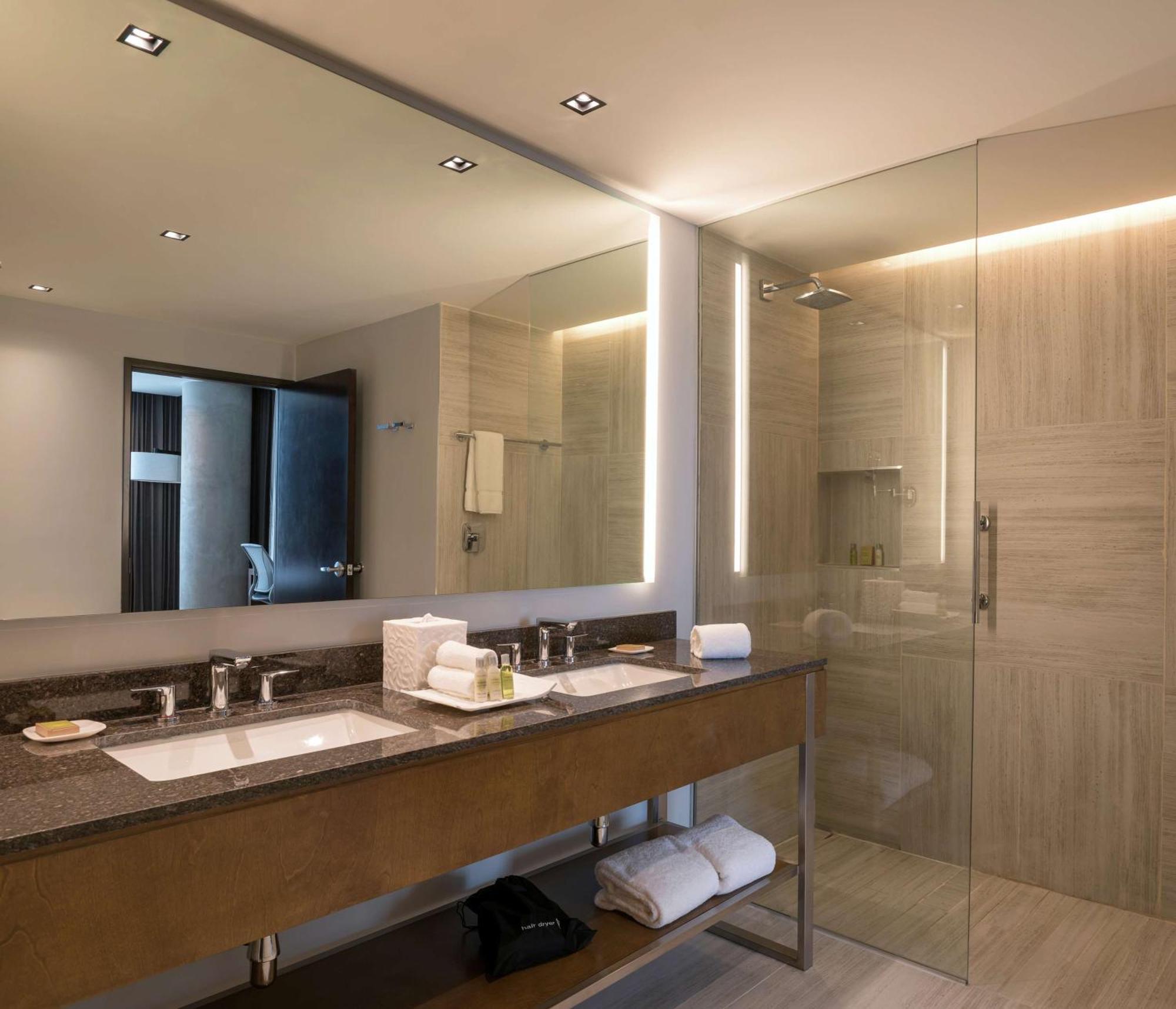 King Room Roll Shower Mobility or Hearing Accessible
