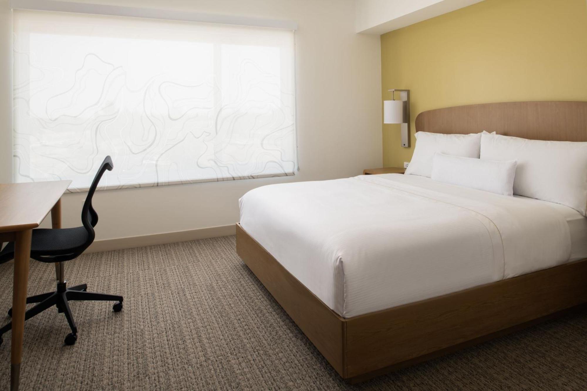 Guest Room 1 King