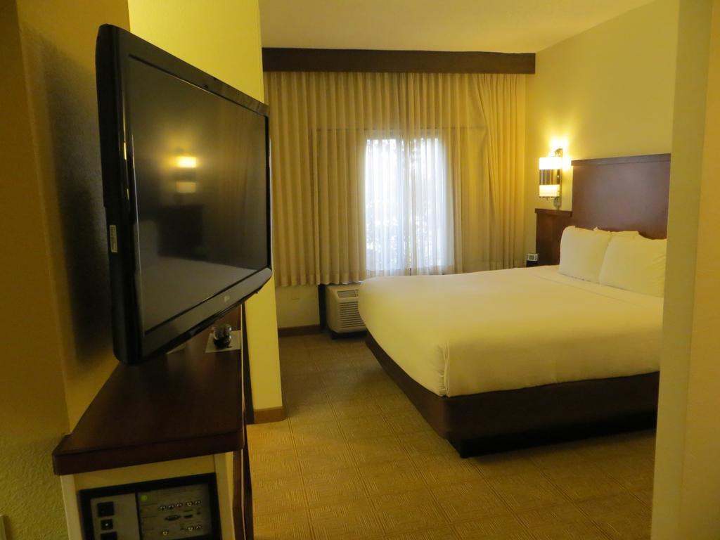 King Room Sofa Bed Accessible Tub Disability Access
