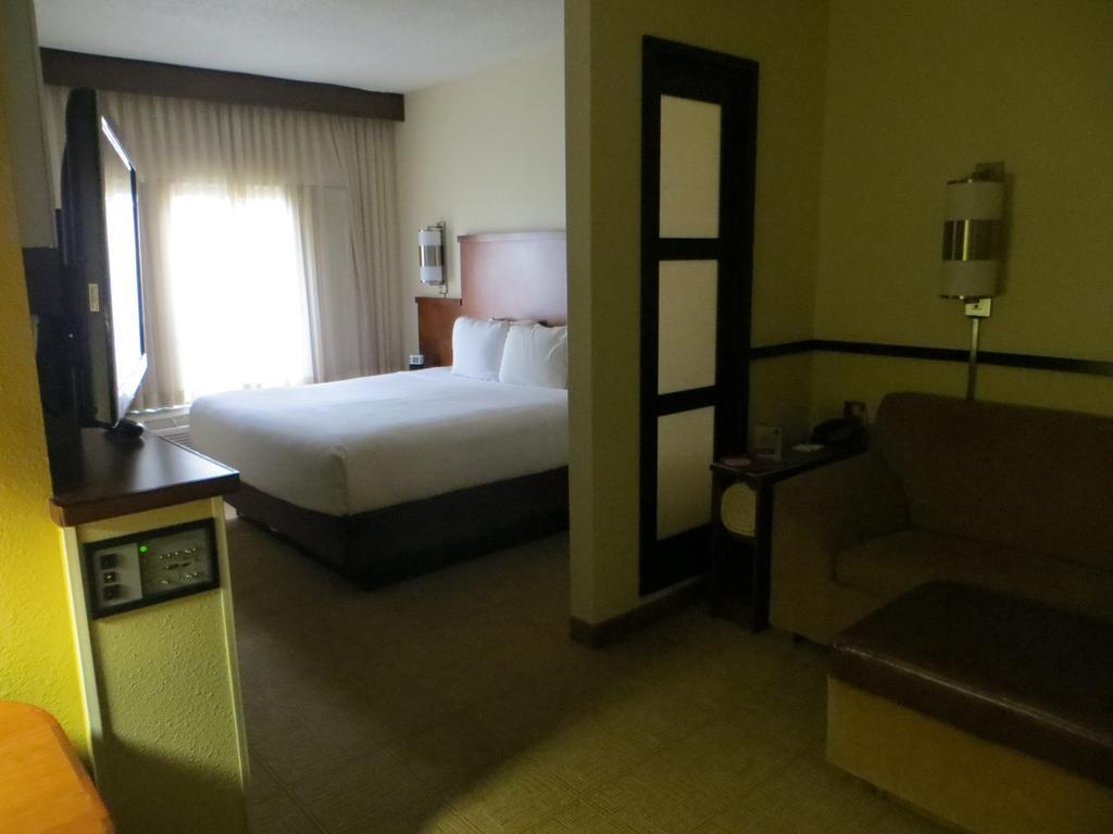 King Room Sofa Bed Accessible Tub Disability Access