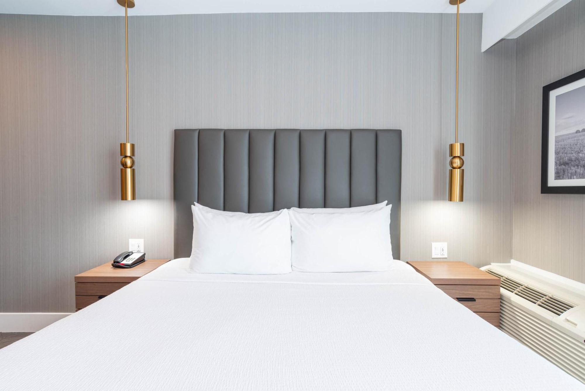 Accessible Room 1 King Bed