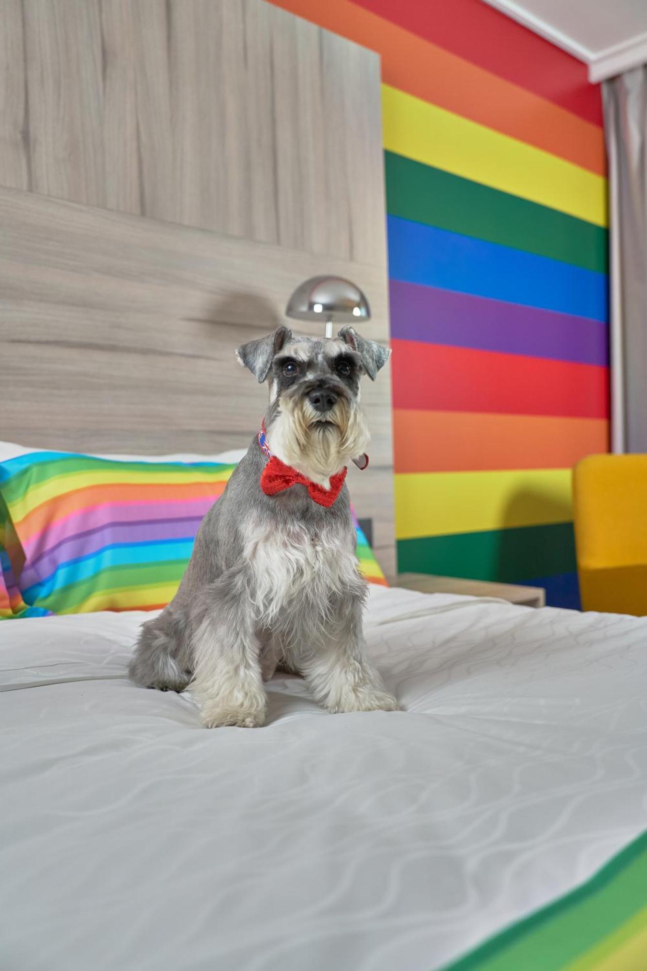 Quarto Superior com Cama King-size