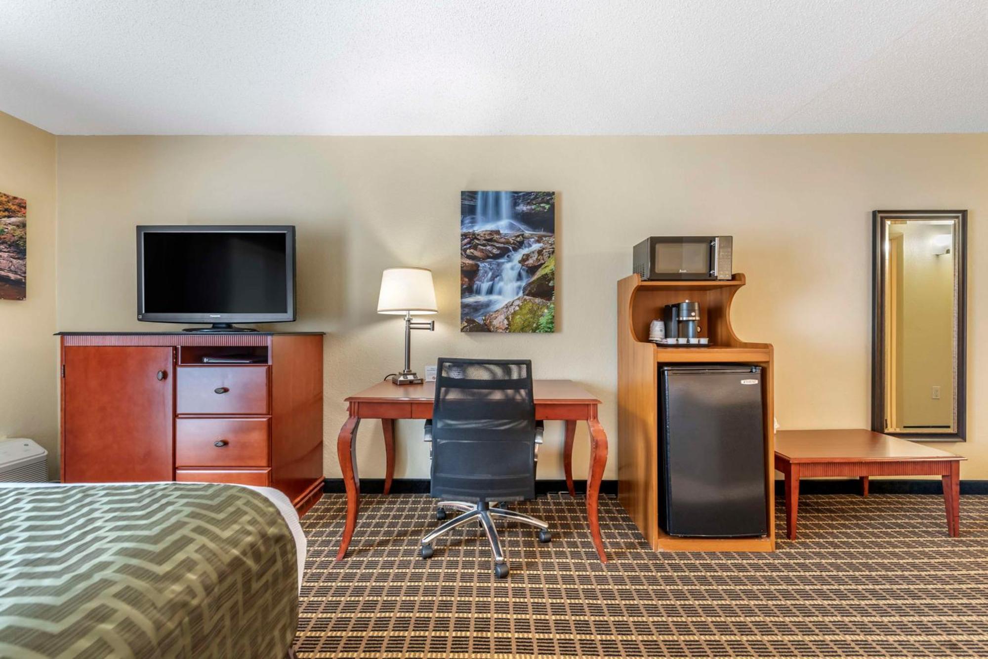 Queen Room Mobility Accessible Roll Shower