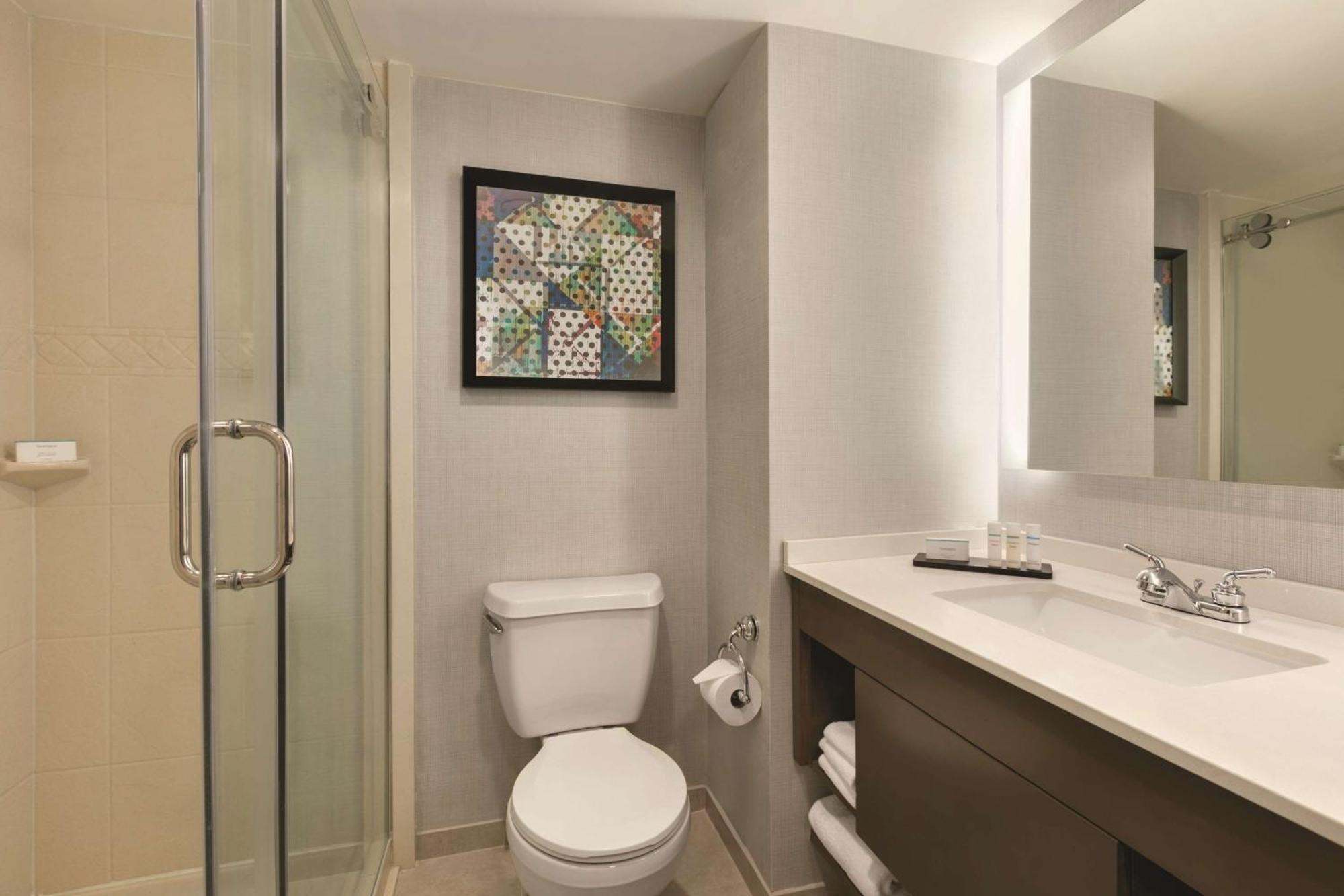King Suite with Sofa Bed