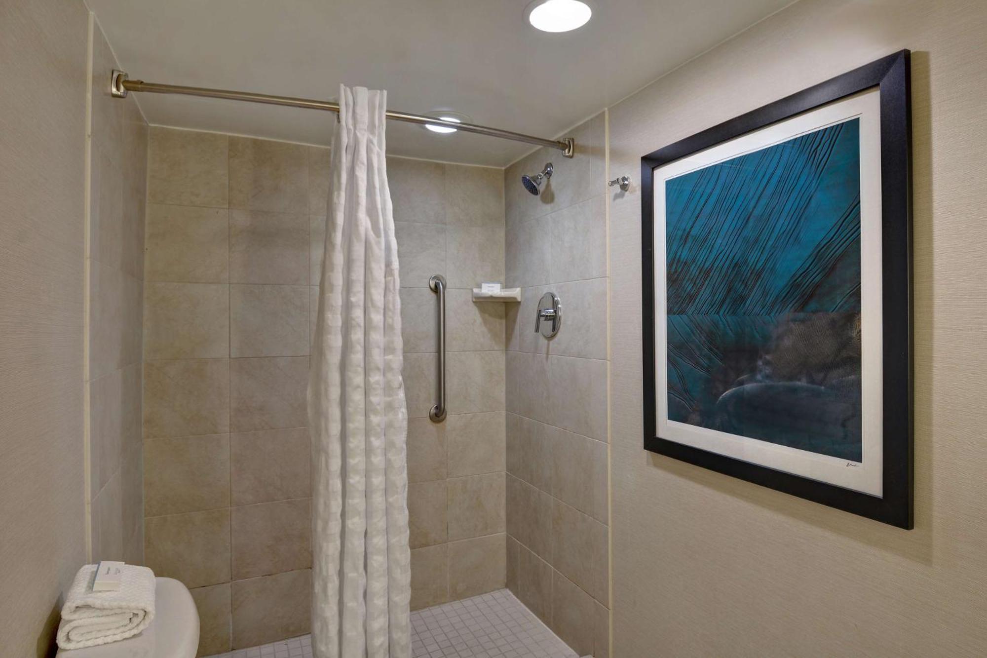 One-Bedroom Queen Suite with Roll-In Shower - Mobility Accessible/Non-Smoking