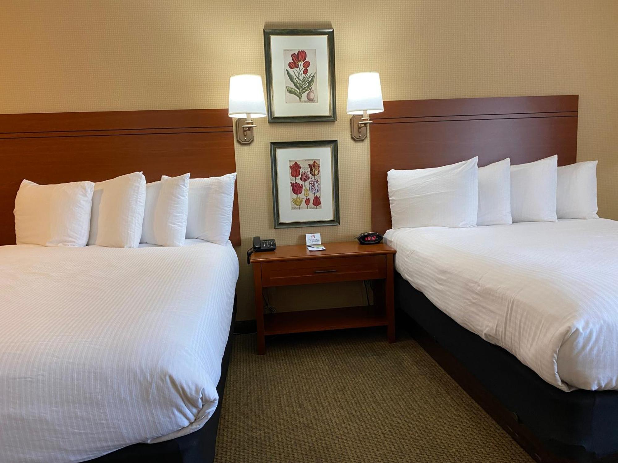 Queen Room Two Queen Beds Mobility Access Roll shower Non-Smoking