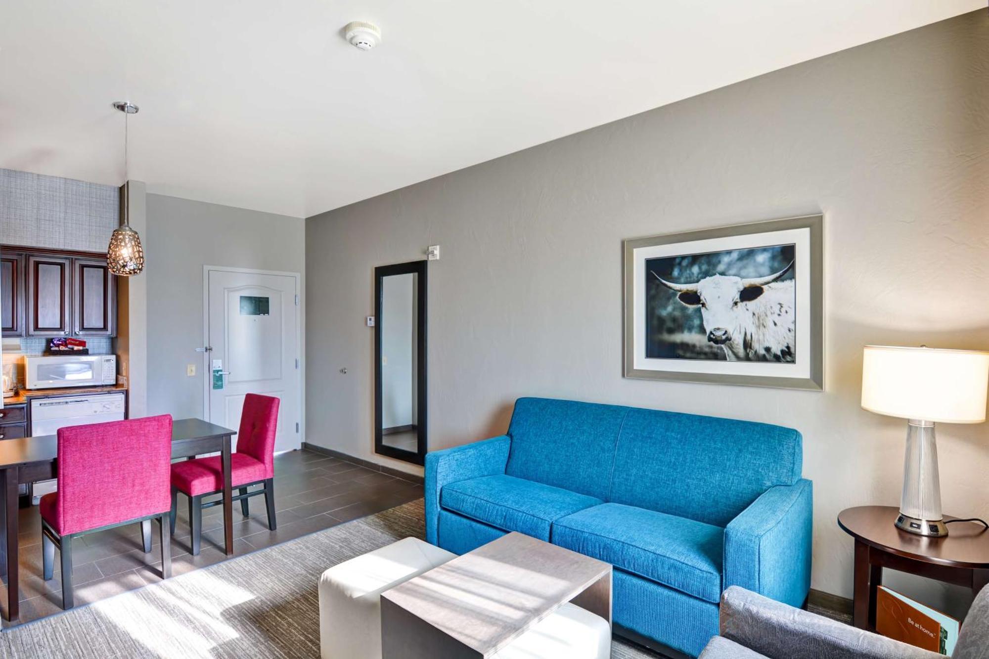 King Studio Suite Non-Smoking