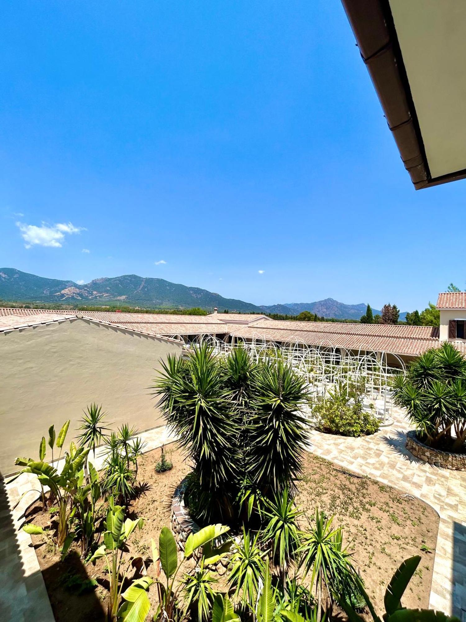 Double or Twin Room Terrace