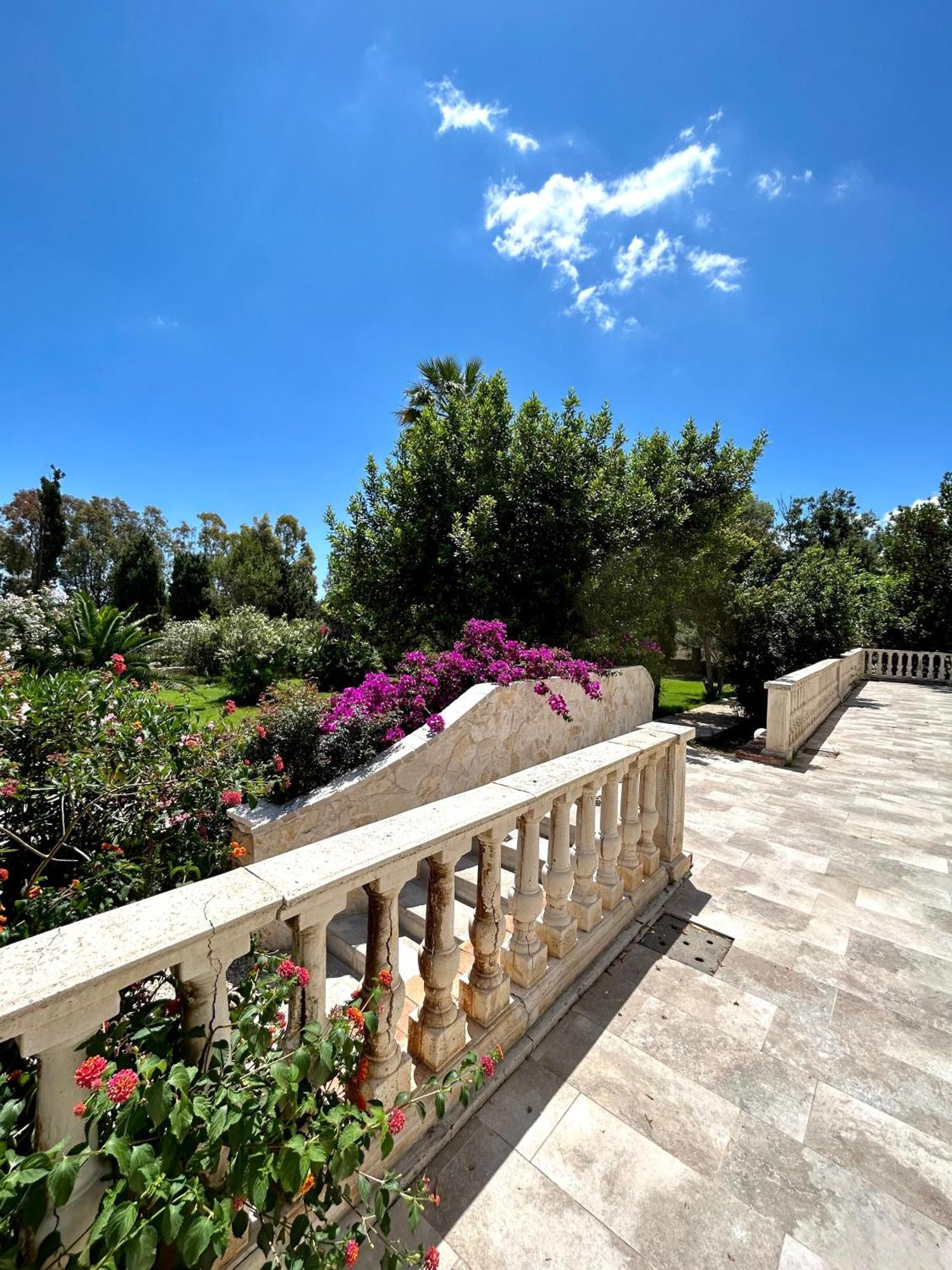 Suite Garden View