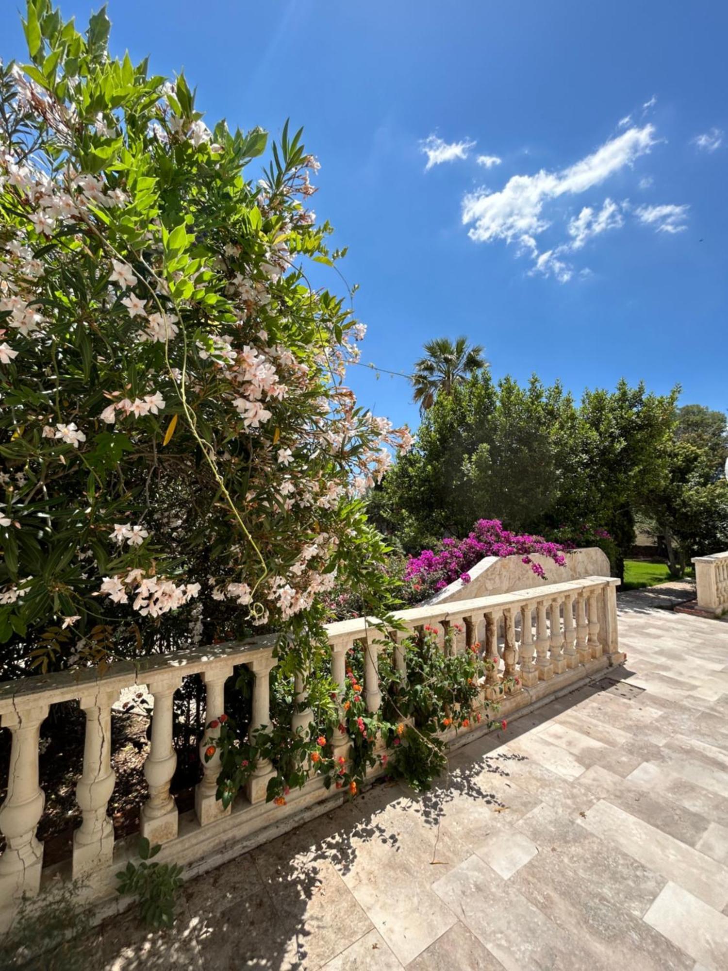 Suite Garden View