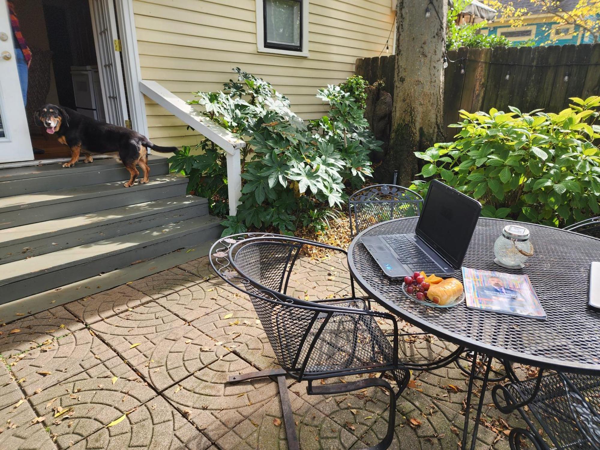 Cottage Garden View