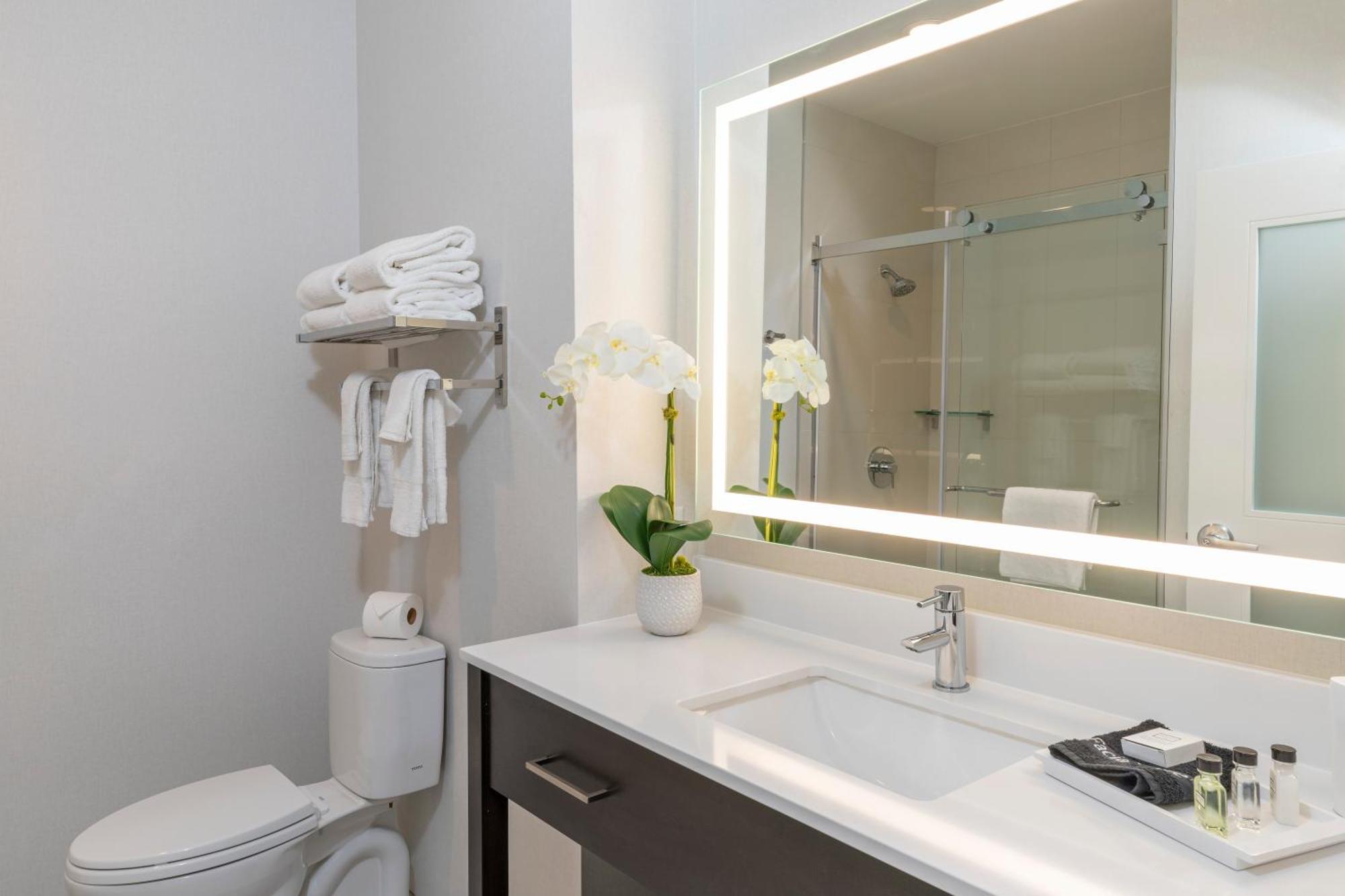 Junior Suite 1 King Bed 1 Single Bed or Disability Access Non Smoking