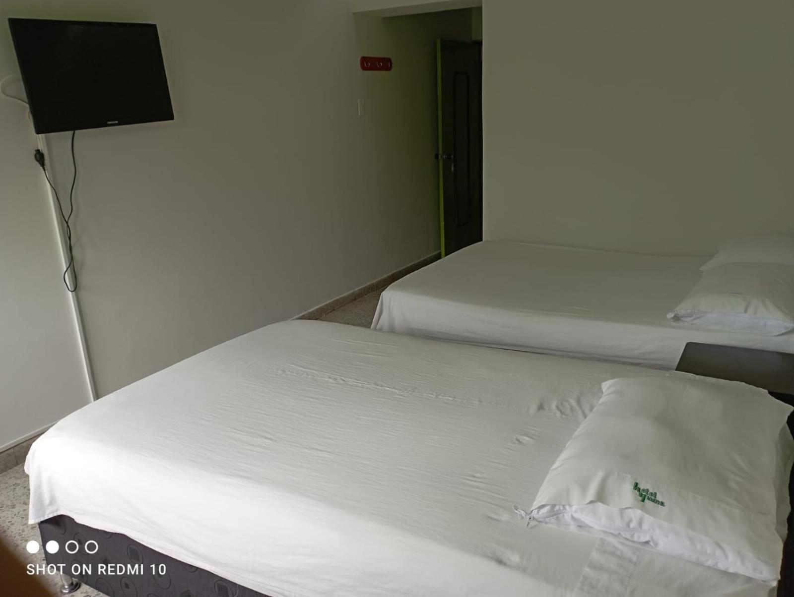 Budget Twin Room,1559308888:JPEG