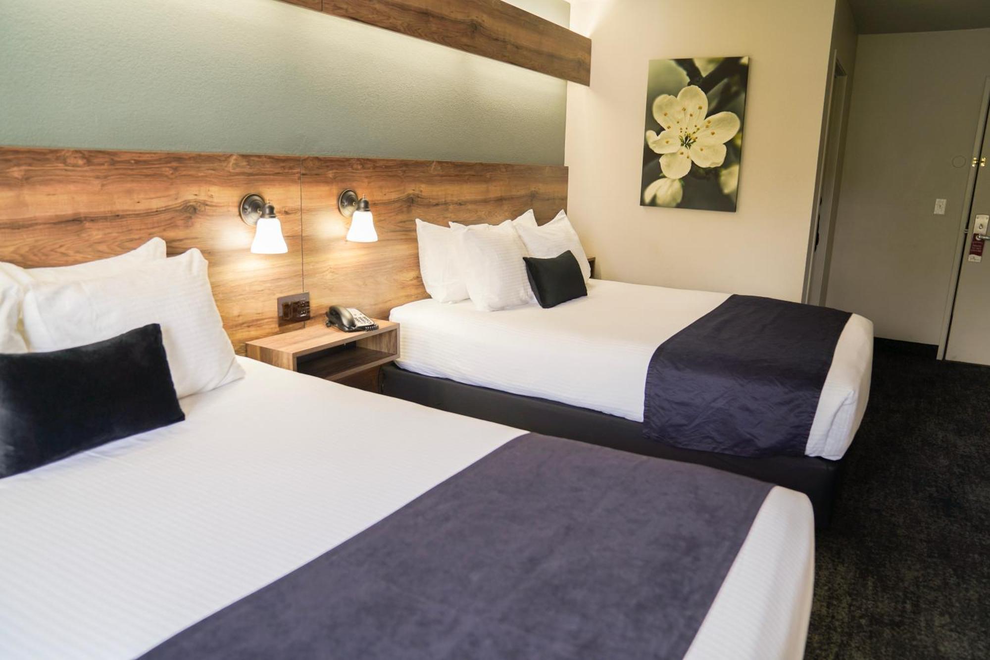 Queen Room Two Queen Beds