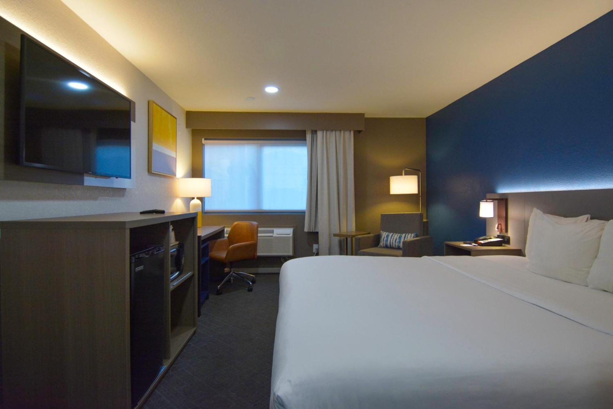 Standard Room 1 King Bed Non Smoking