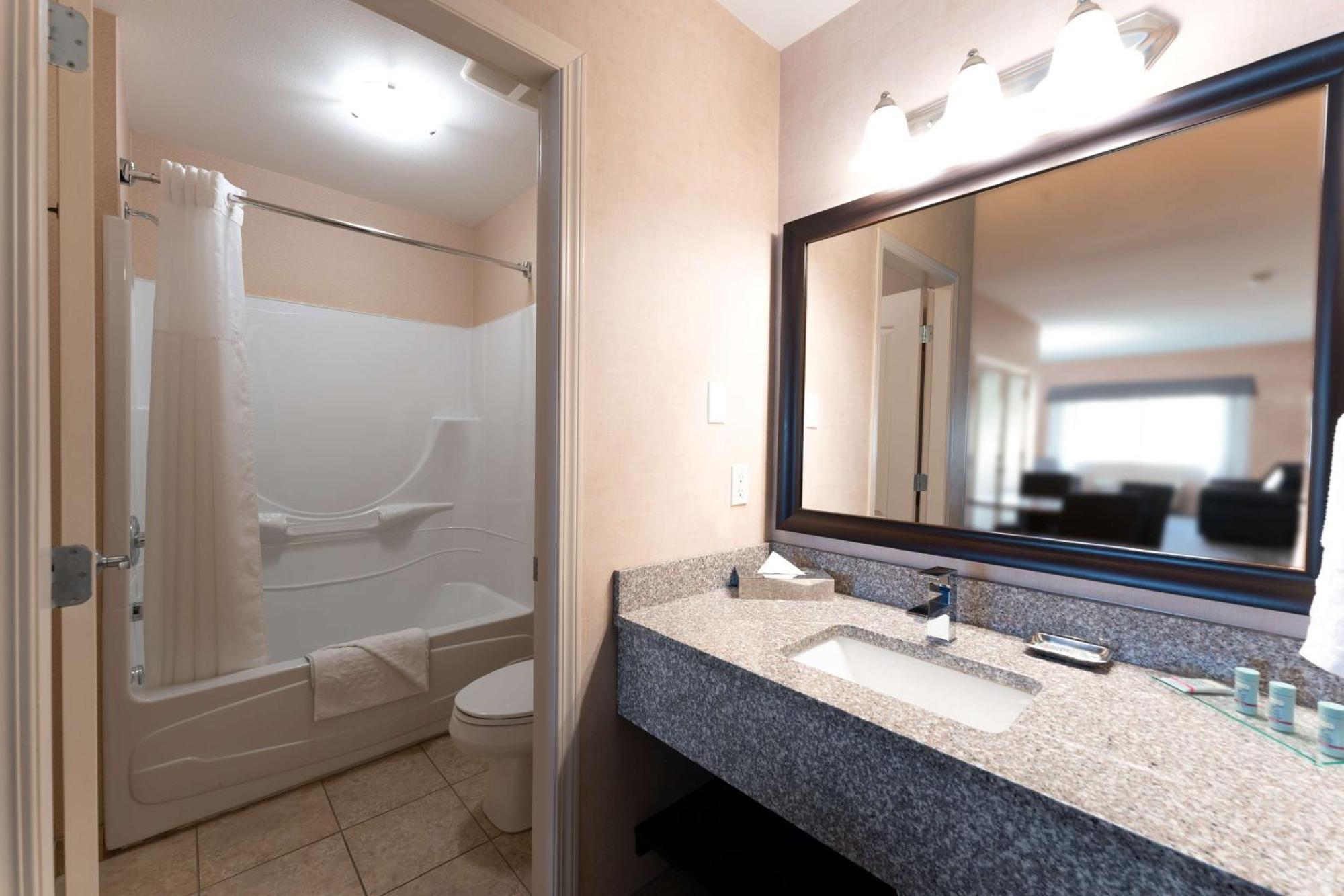 One-Bedroom King Suite