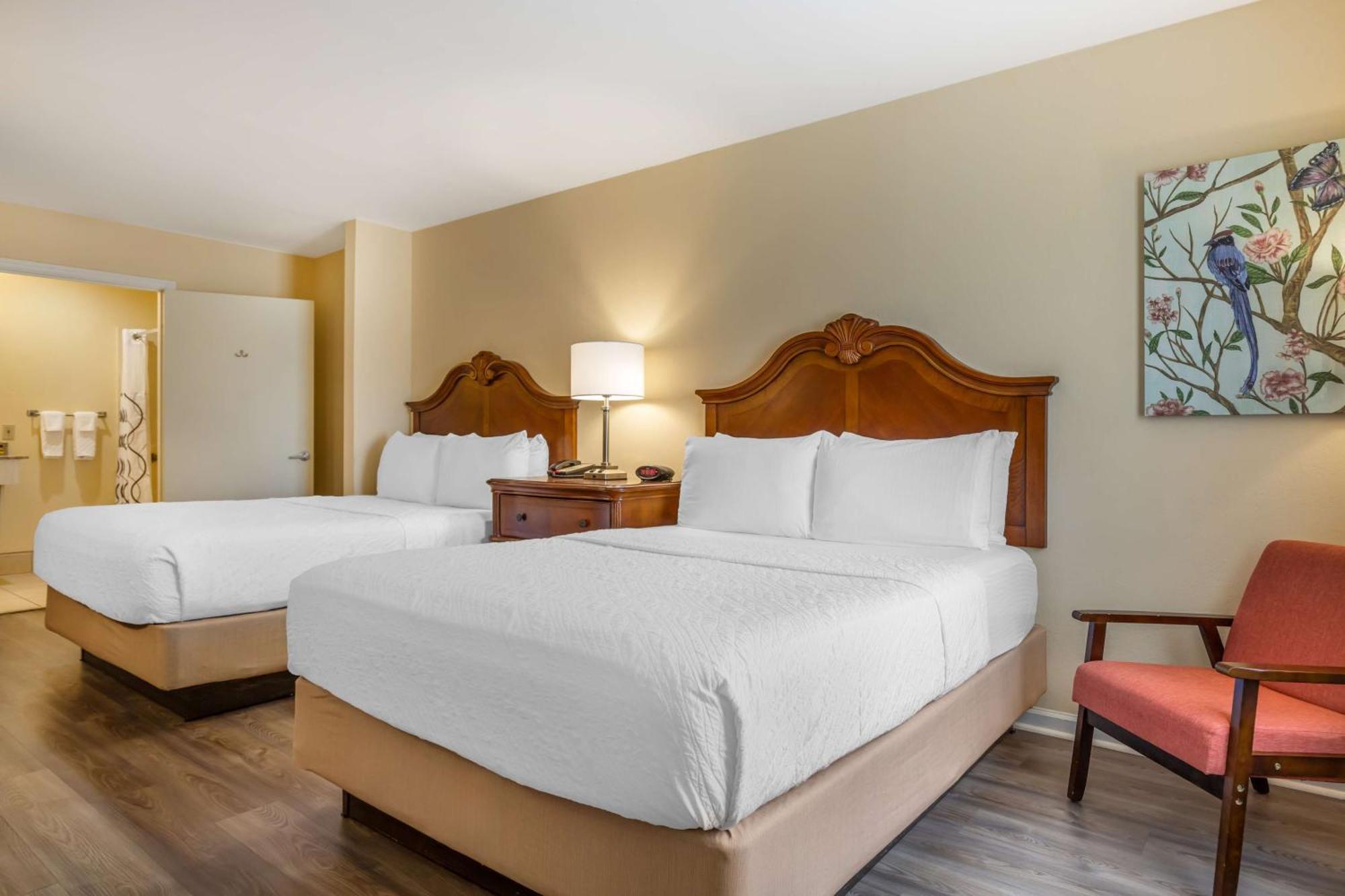 Queen Room Two Queen Beds Roll Shower Disability Access or Non-Smoking