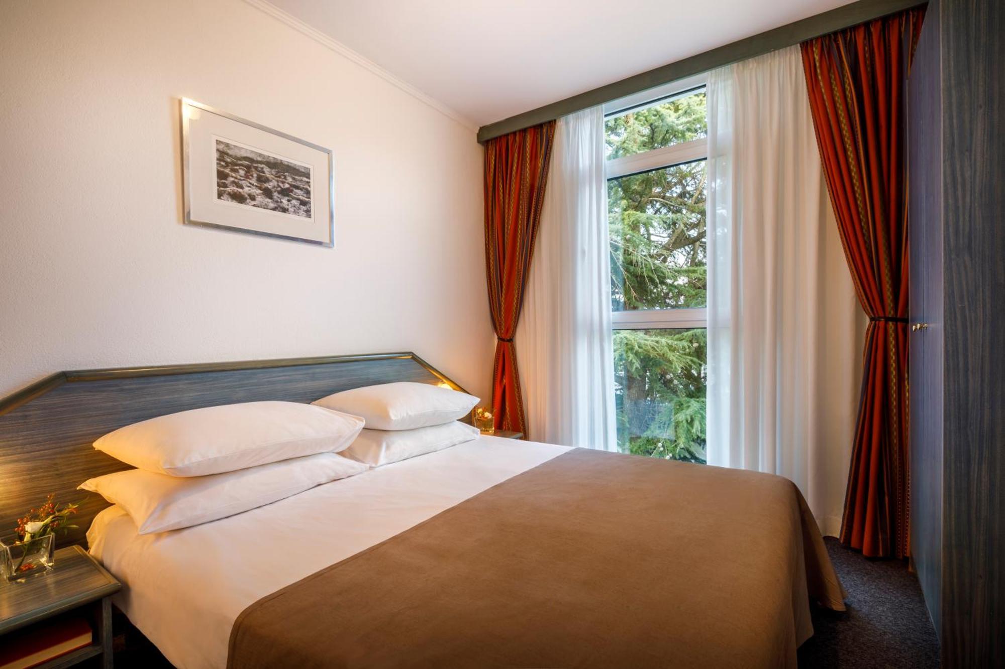 Comfort Suite