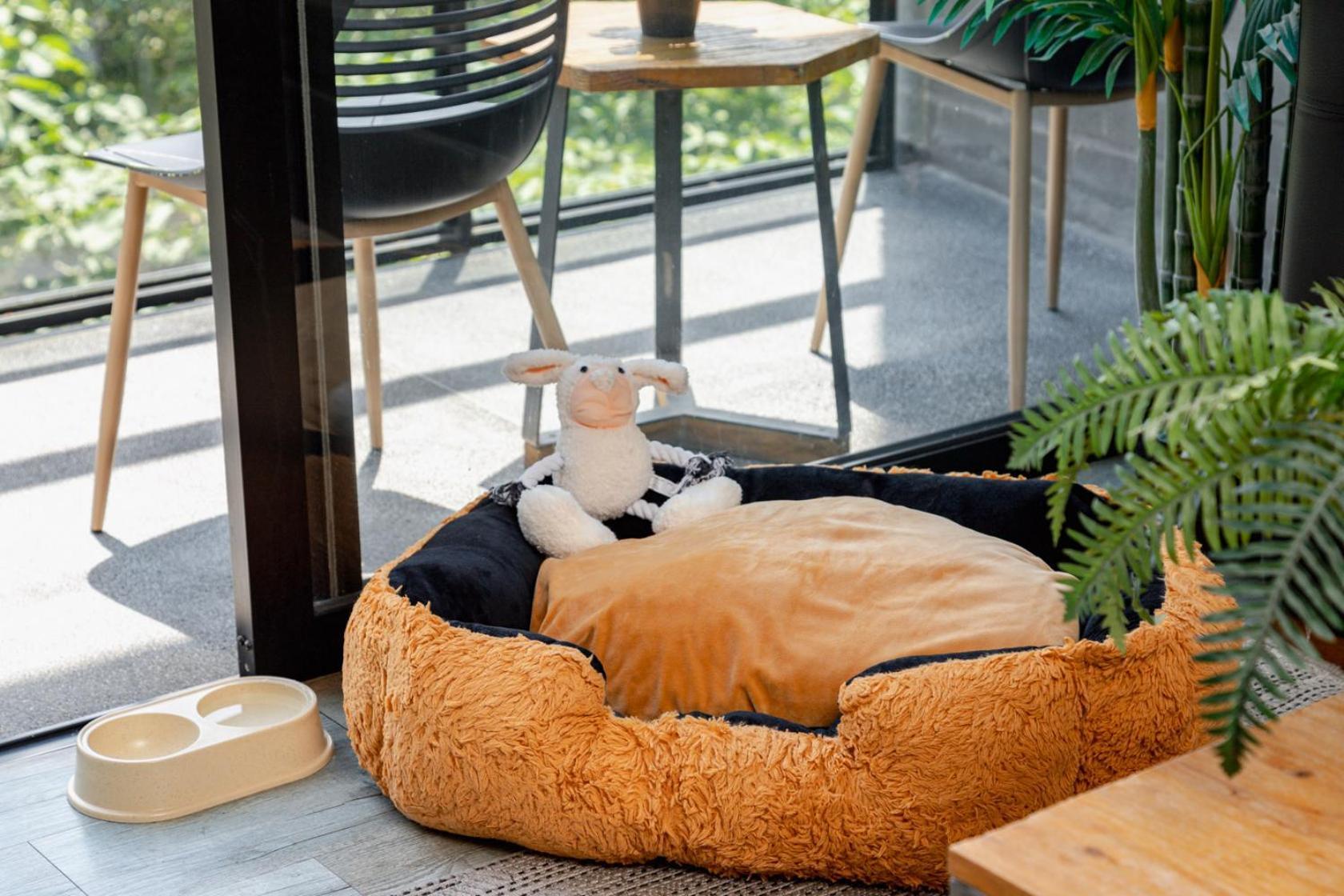 Apartment Balcony