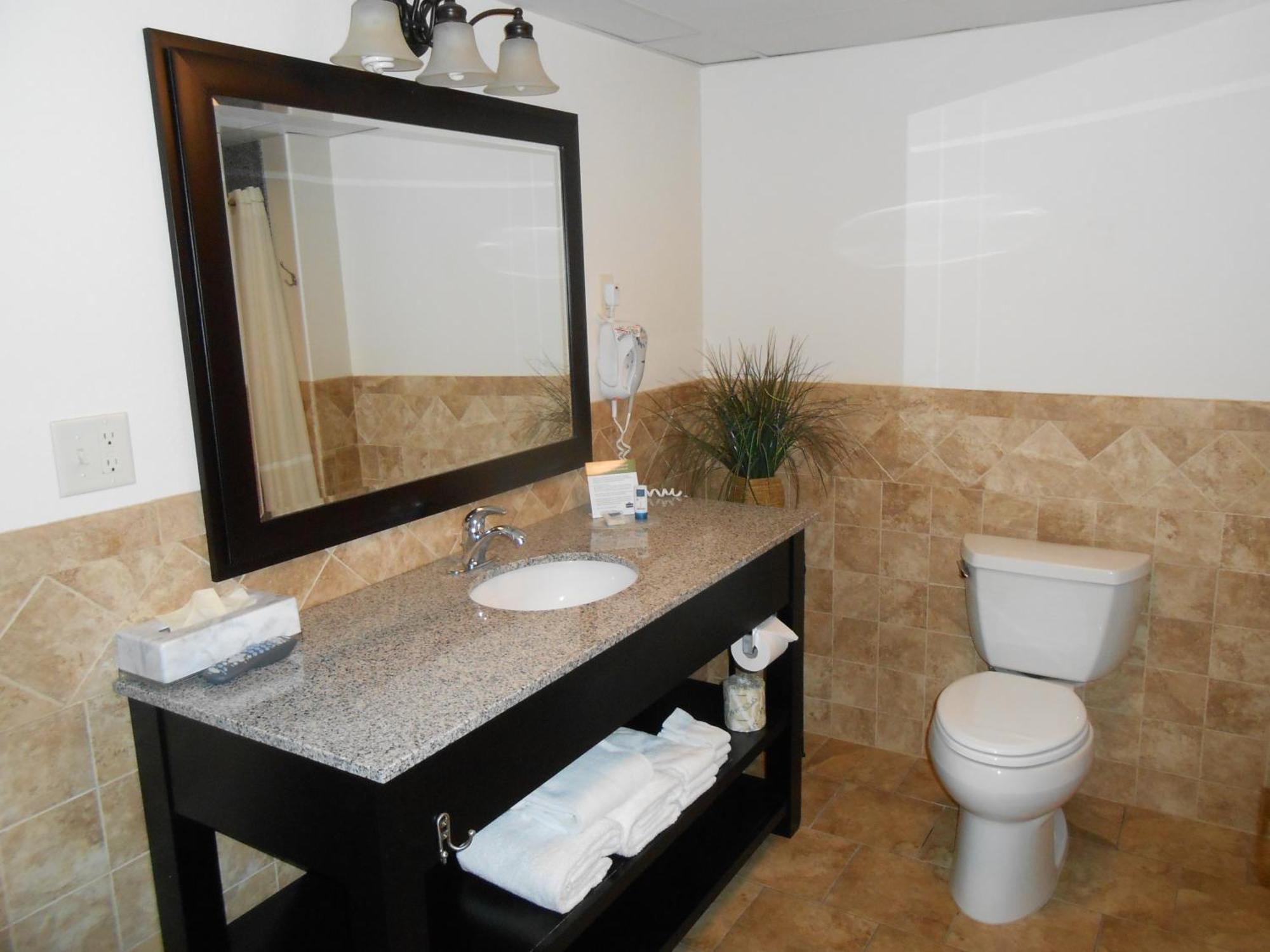Premier King Suite Non-Smoking