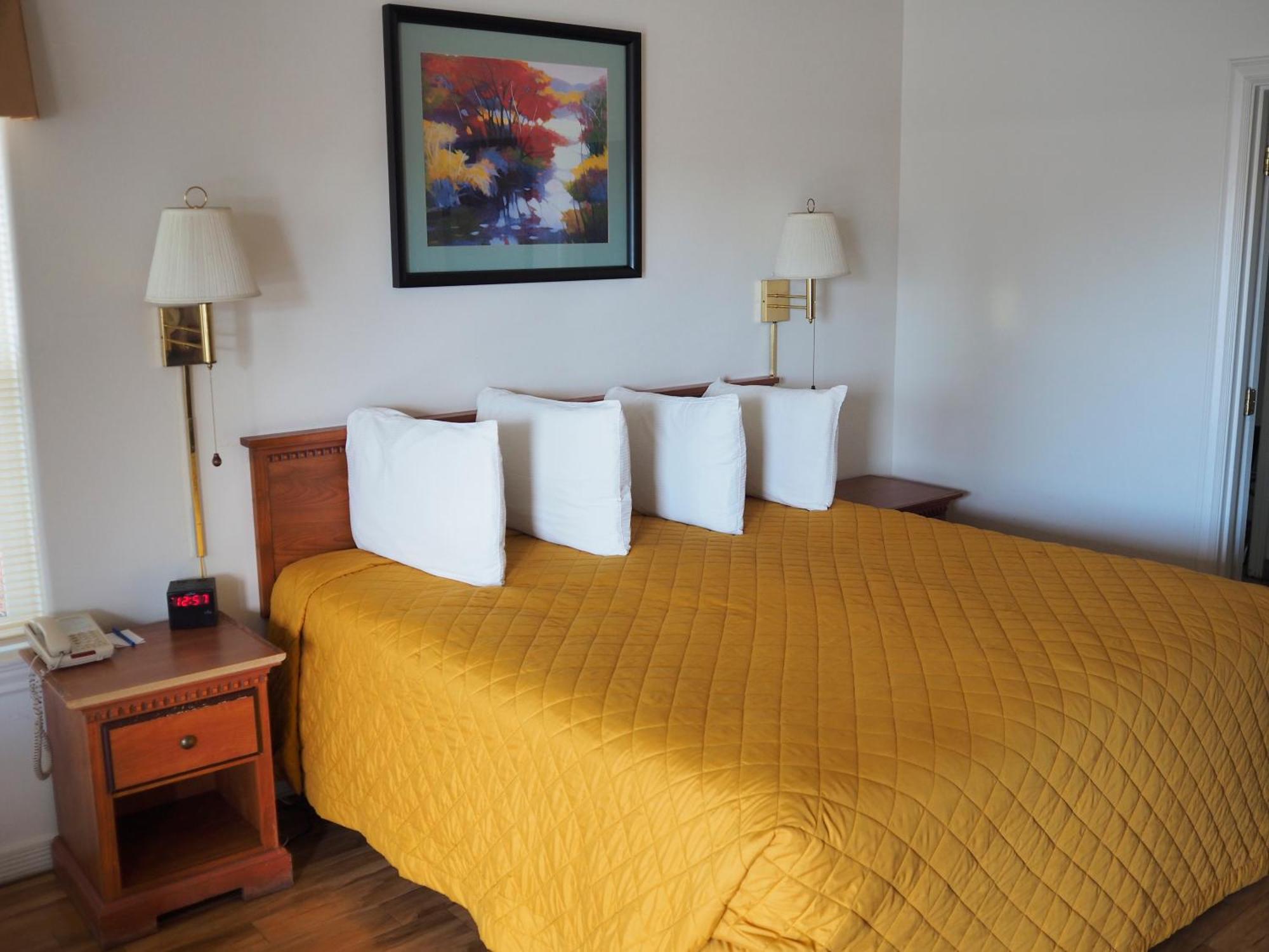 Premium King Room Not Pet Friendly