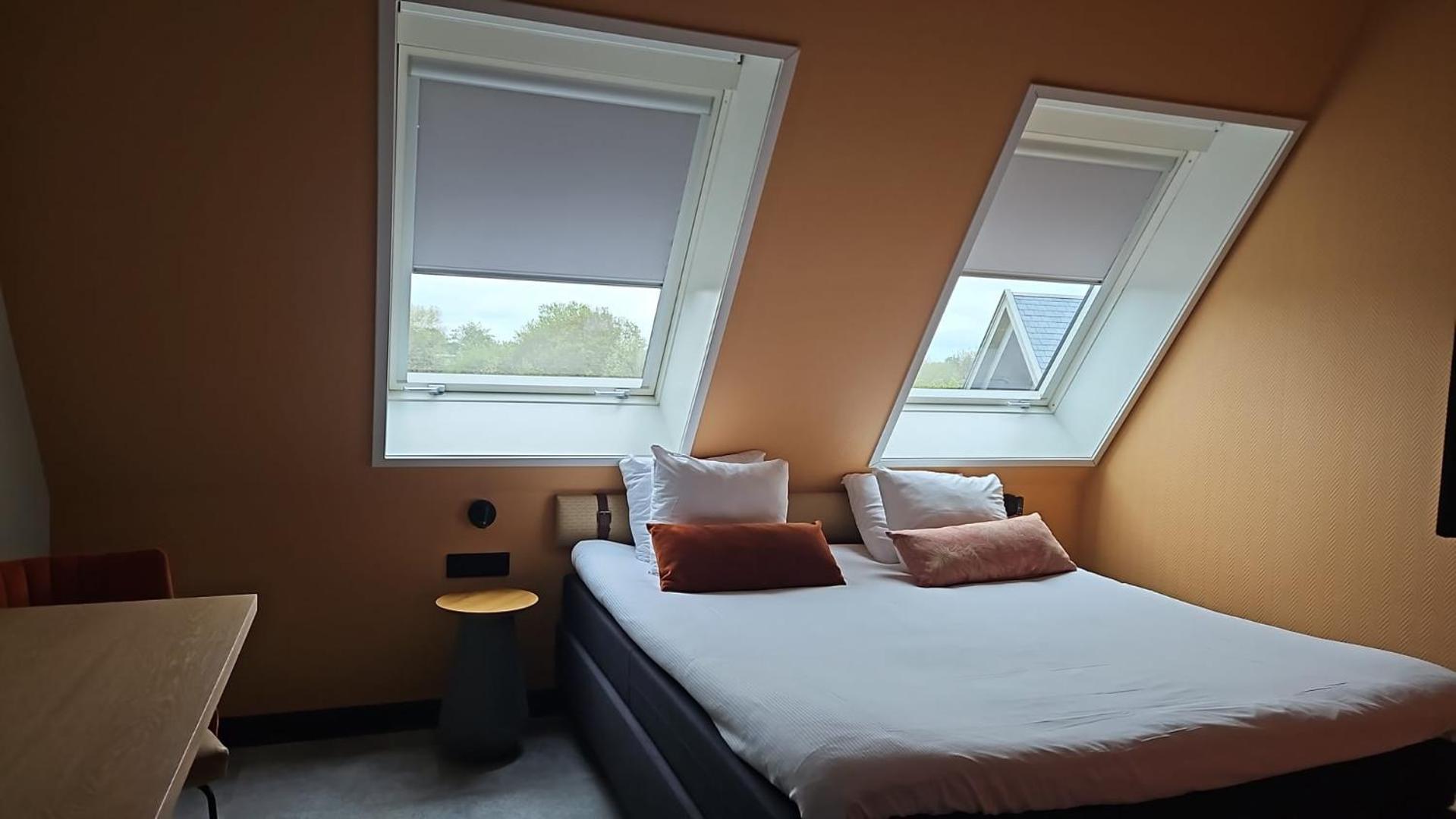 Deluxe Room max 1 dog allowed on request