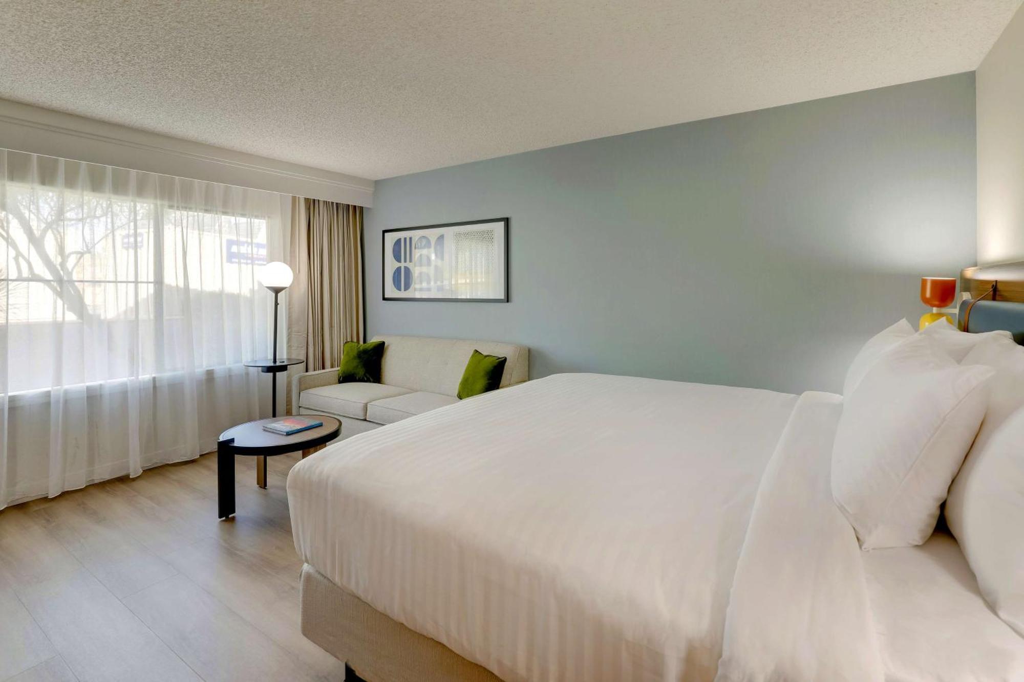 Guestroom King Sofa Bed