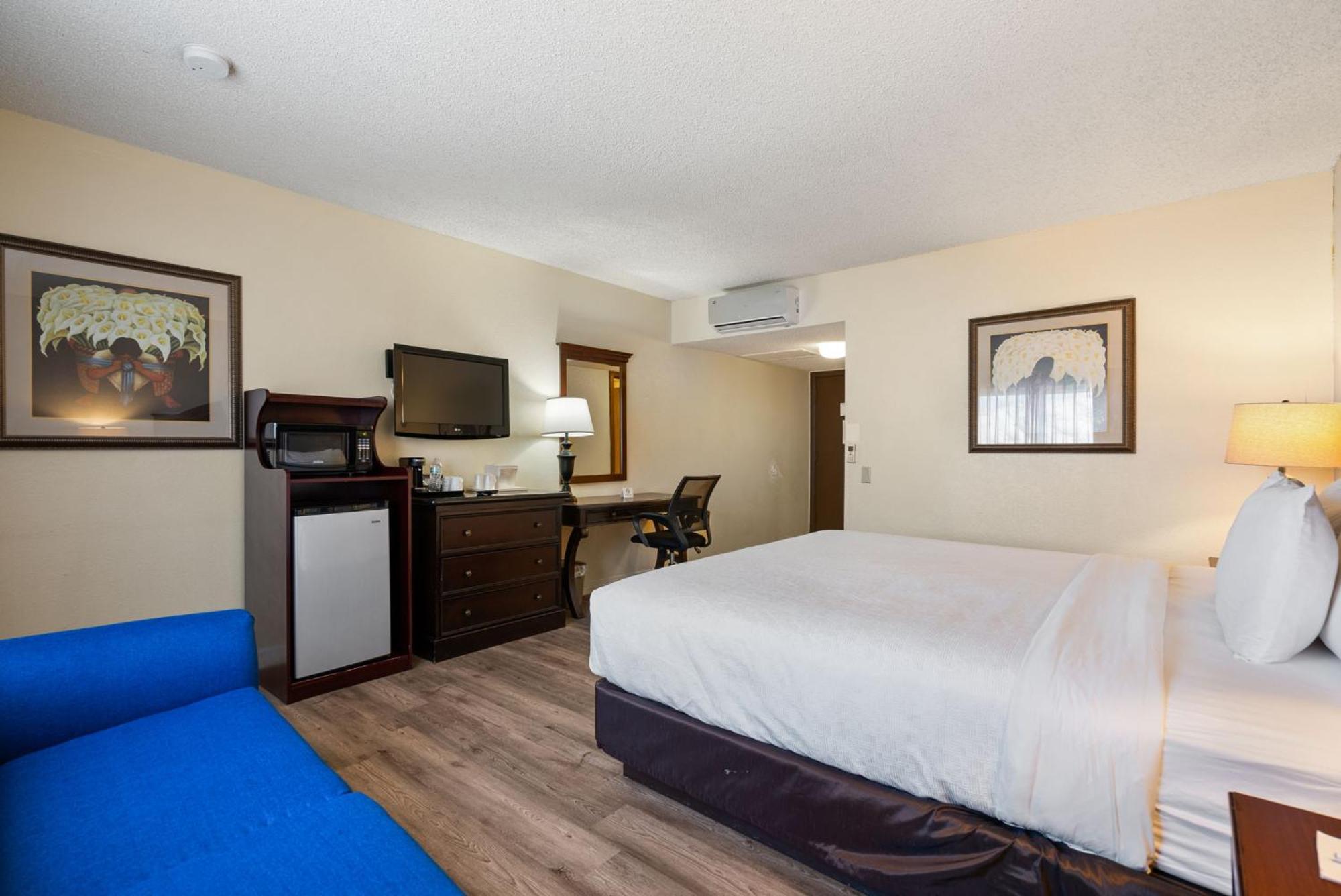 King Room Accessible or Non Smoking