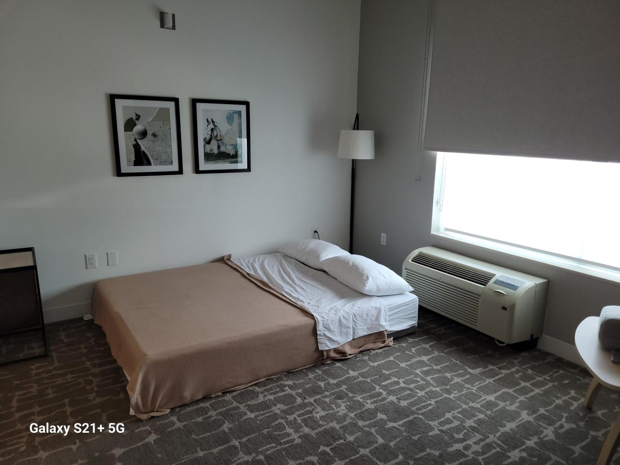 One-Bedroom Queen Suite Sofa Bed