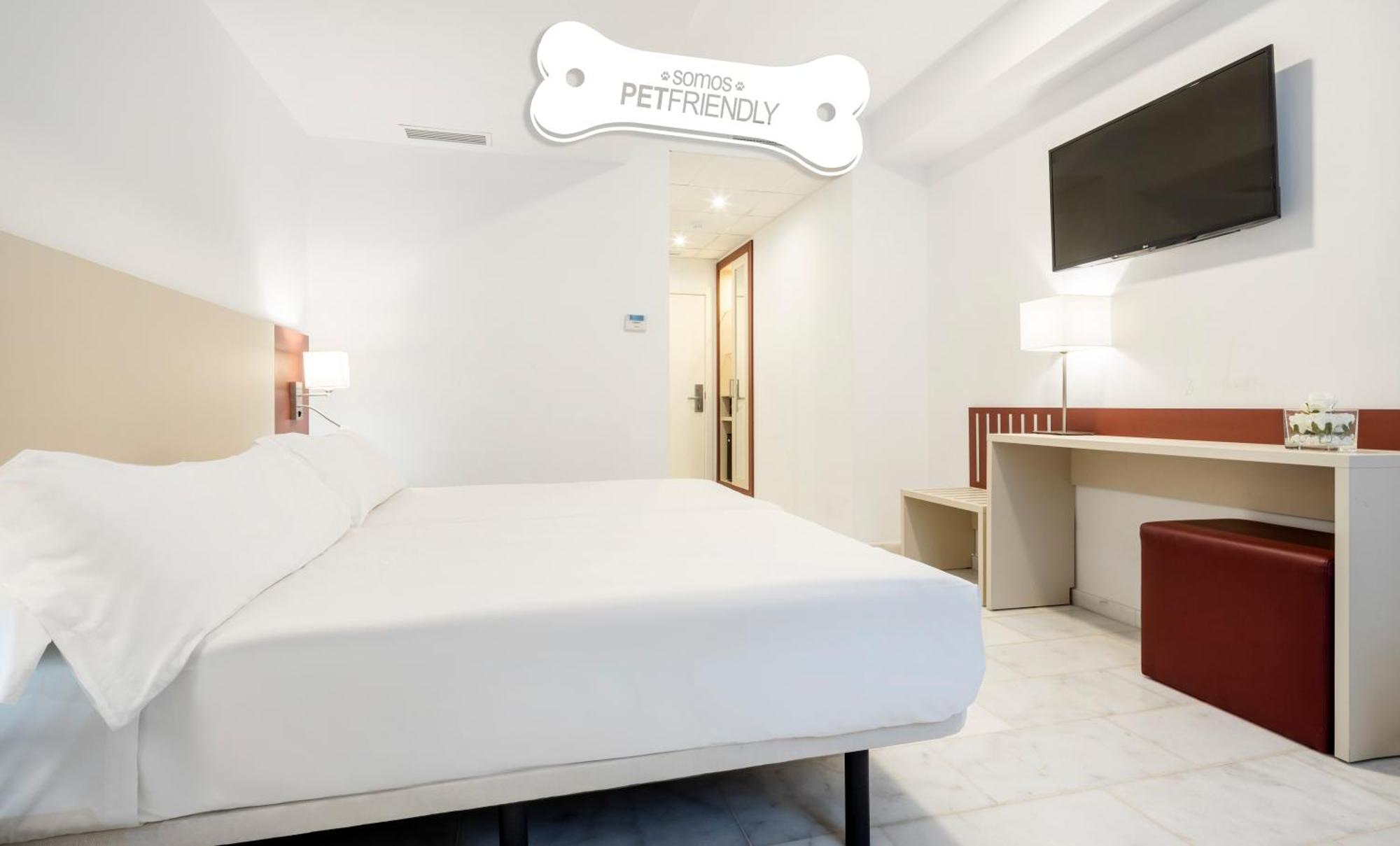 Standard Double Room Pet Friendly