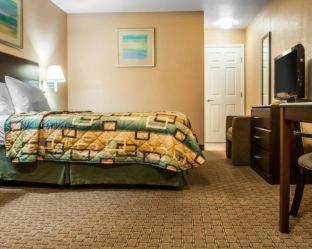 Efficiency Double Room with Two Double Beds - Smoking