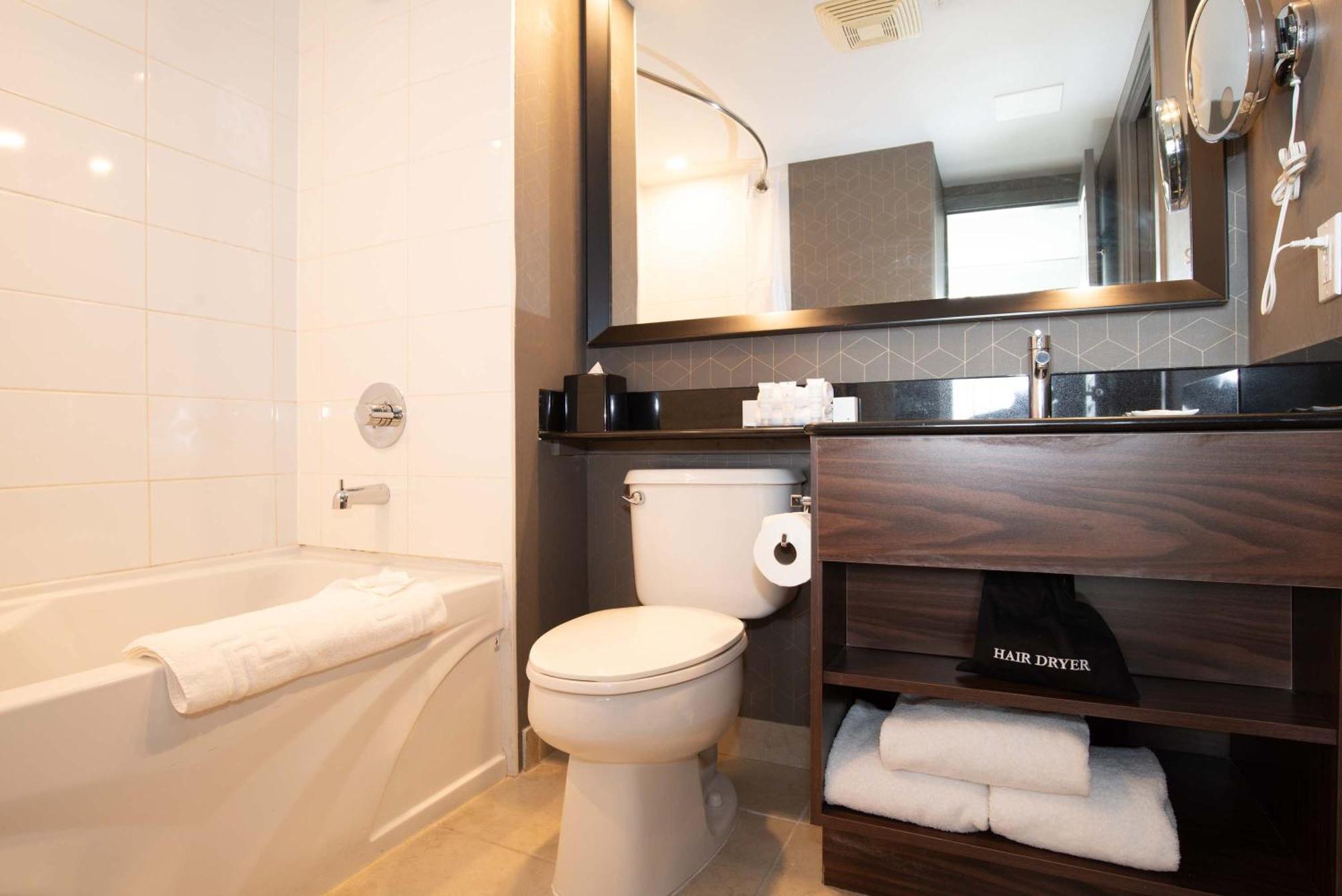 Standard Suite 1 King Bed Kitchenette