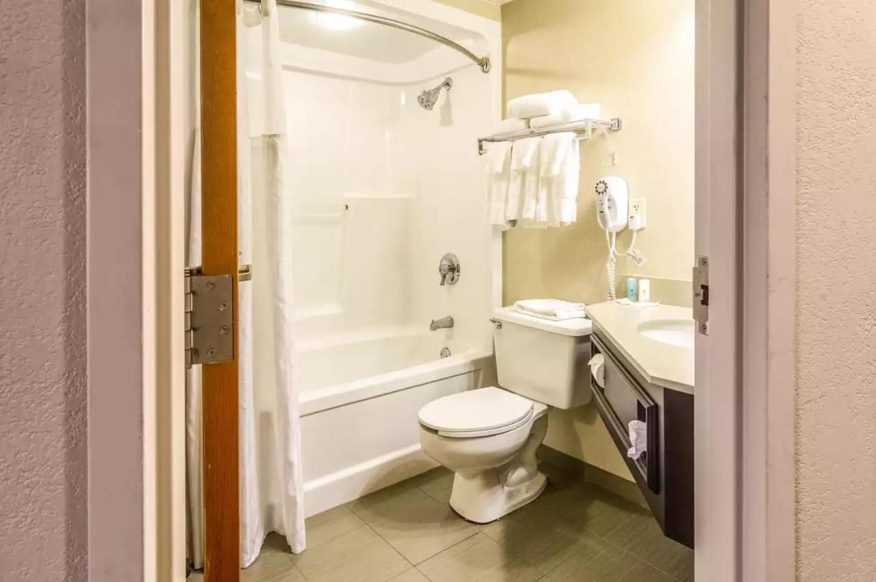 Double Room with Two Double Beds - Non-Smoking